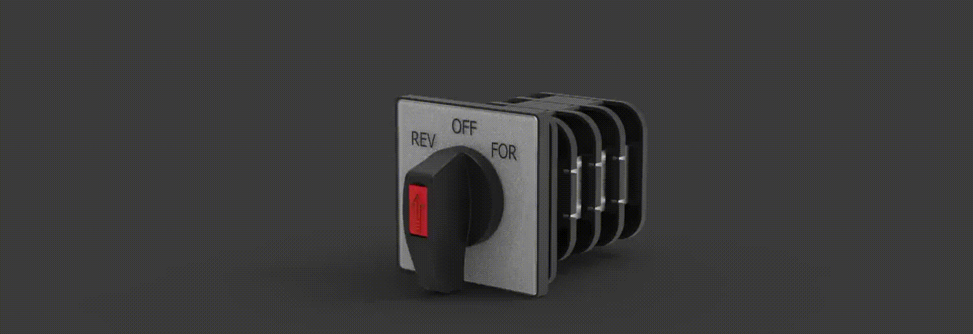 Rishabh SWITCH